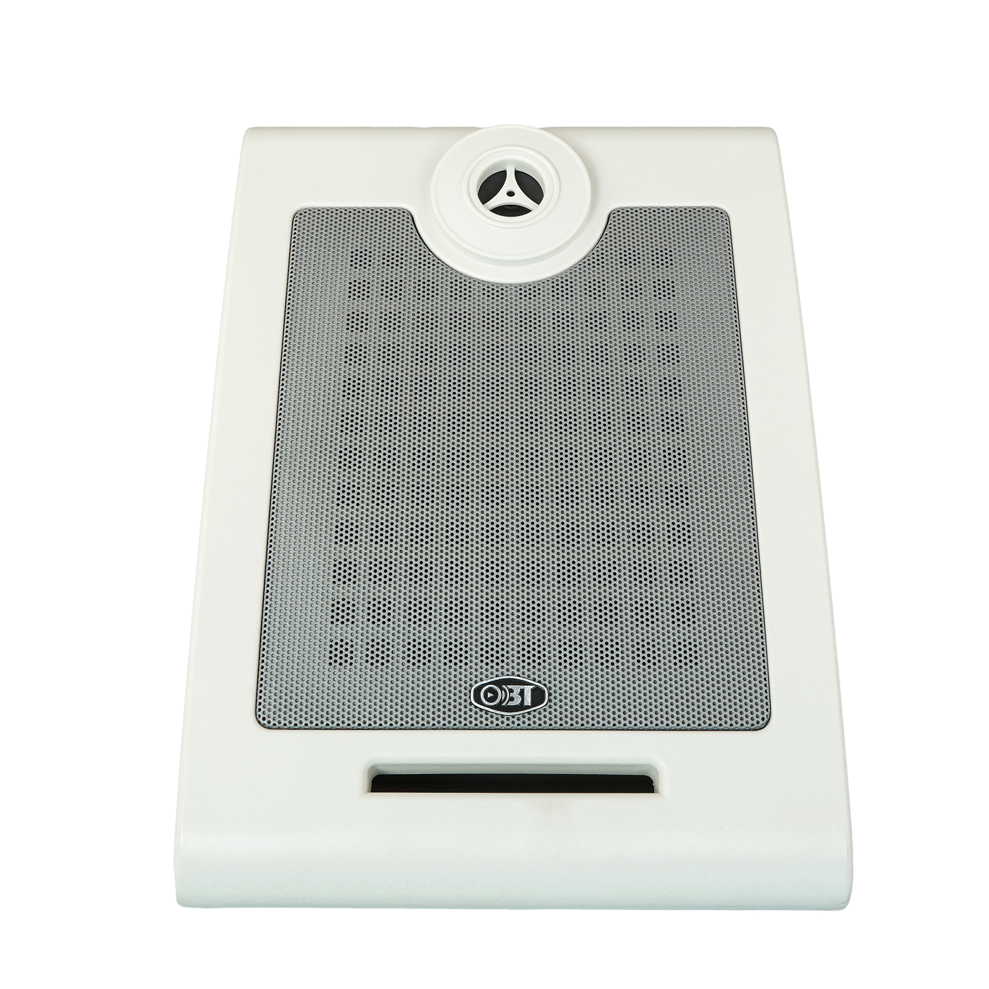 室內(nèi)壁掛音箱 OBT-428